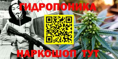 гашиш Можга